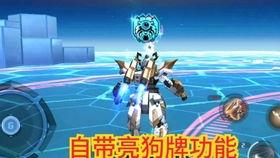 指挥官爆料流星视频大全,流星视频大全背后的震撼瞬间