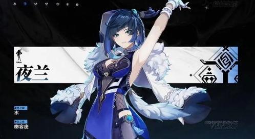 夜兰爆料武器推荐最新版
